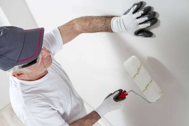 Mold Documentation for Insurance Claims in Harvard, NE